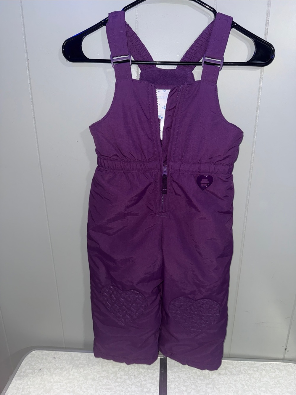 Purple Kids Snow Bib Overalls